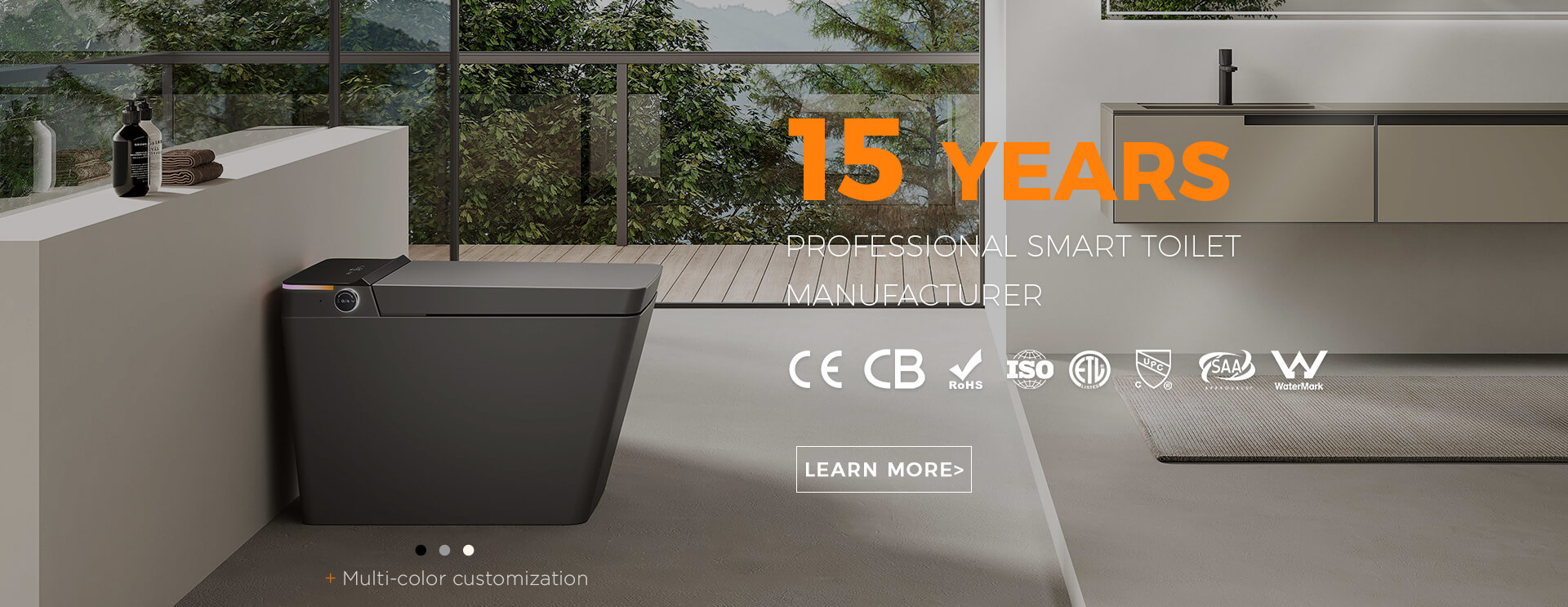 intelligent toilet